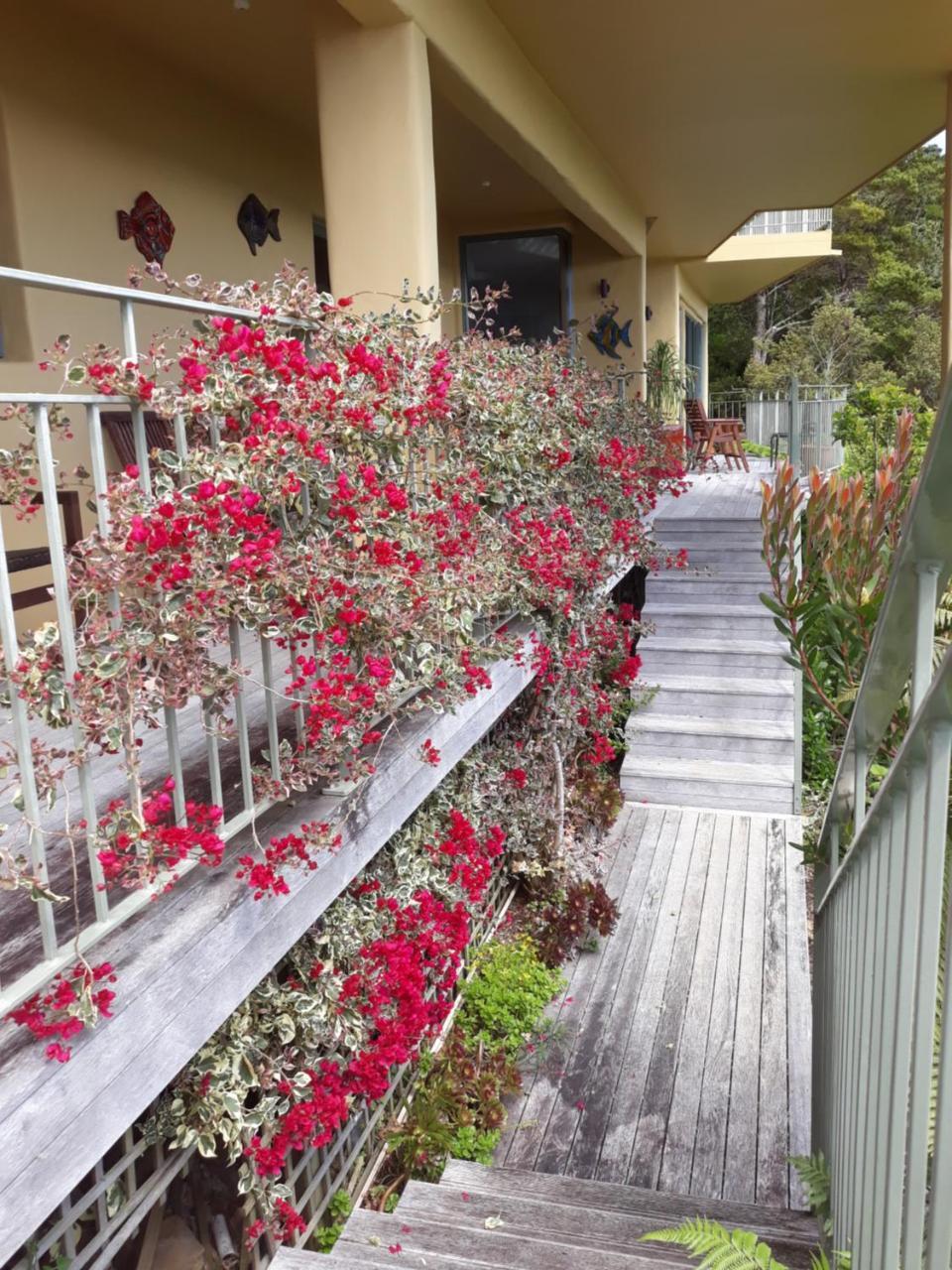 Allegra House Paihia Exterior foto